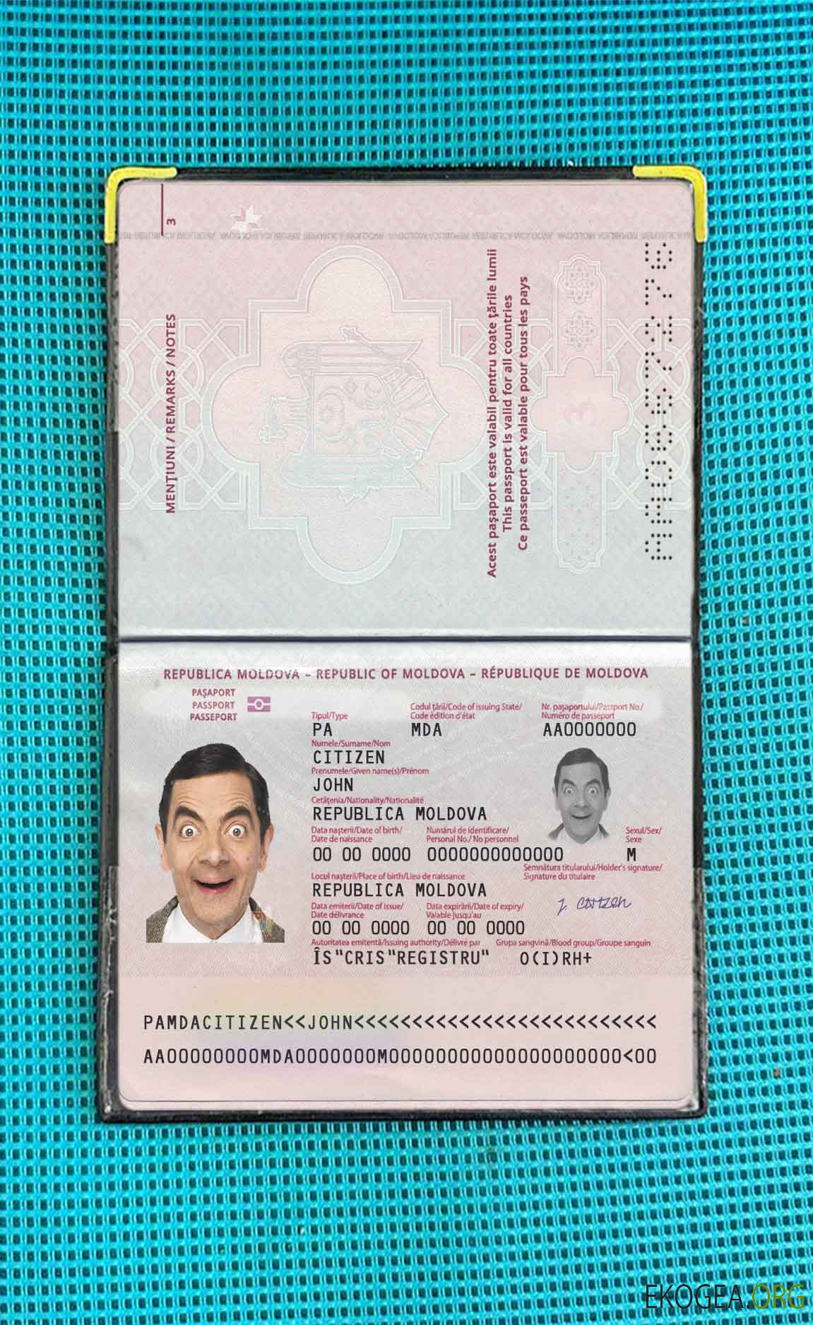 Look photo du passeport moldave (2014 présent)